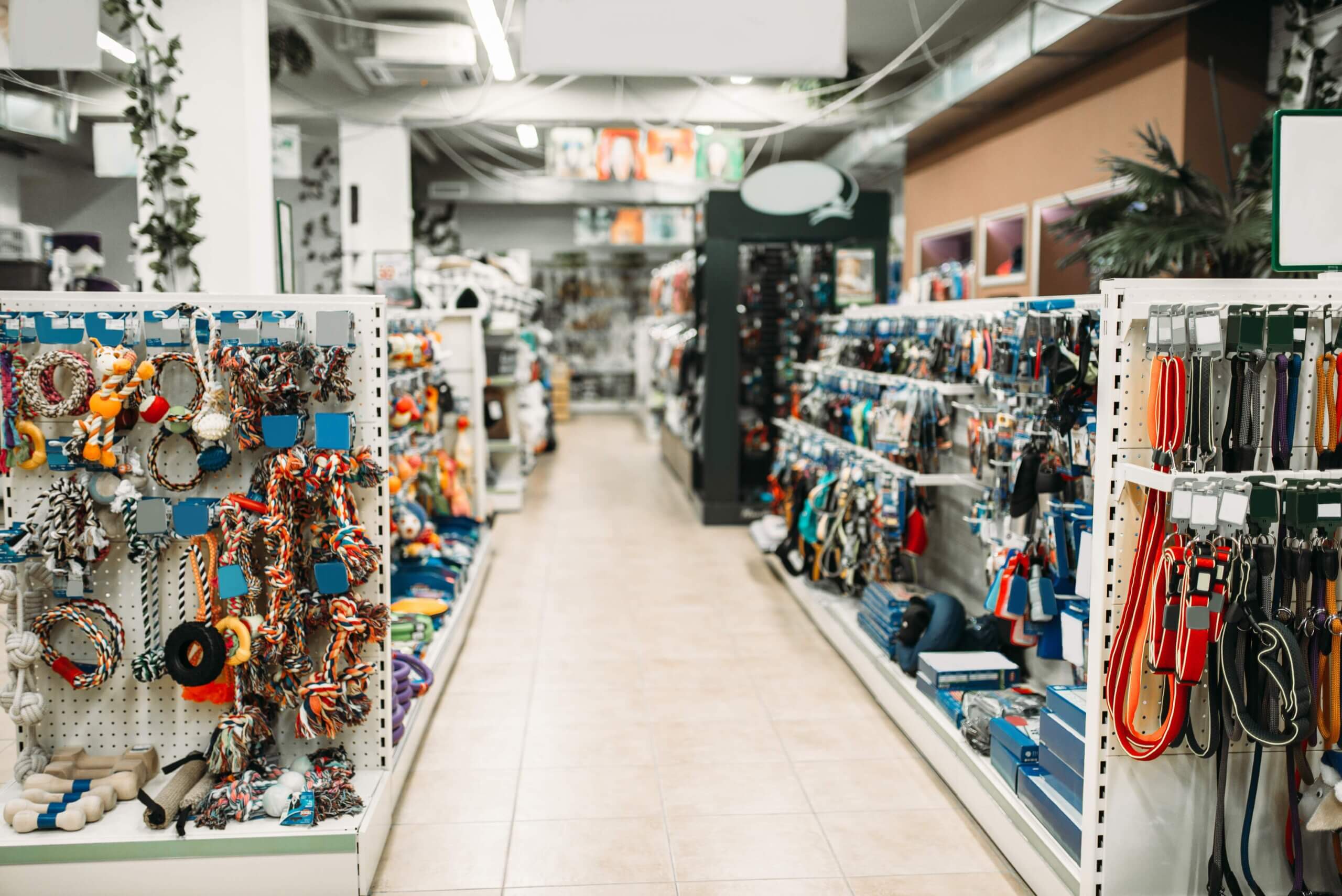 A well-stocked pet store with shelves displaying a variety of pet toys, leashes, collars, and other pet supplies.